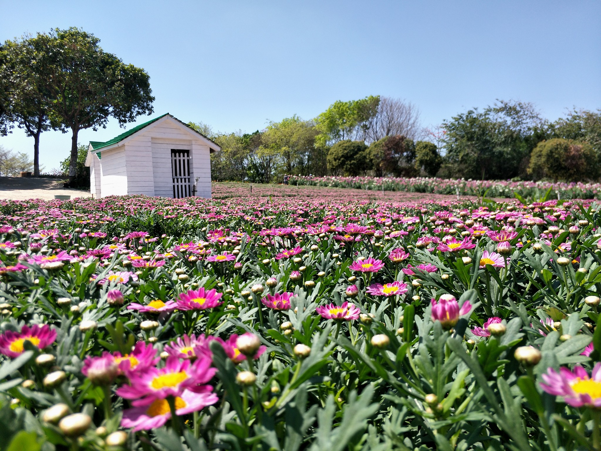乍暖还寒的四月依然是醉美的人间四月天松湖生态园
