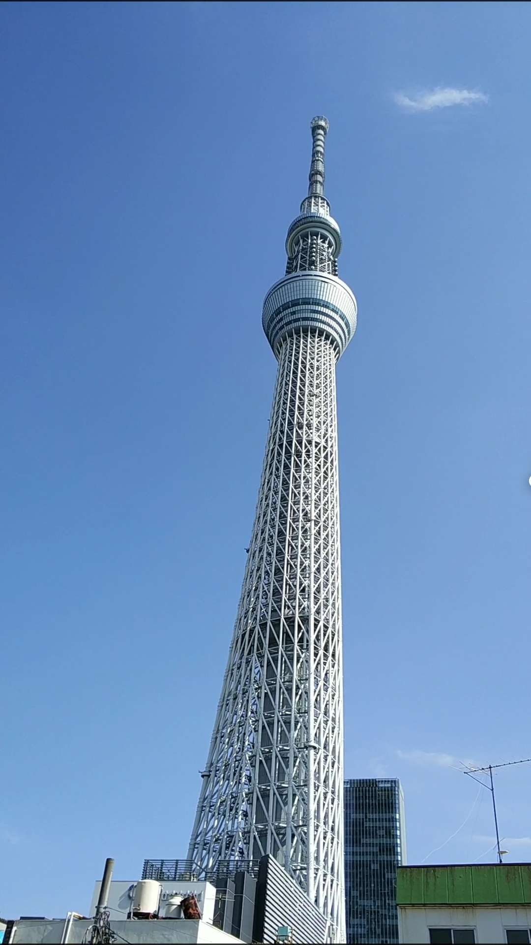 東京自助遊攻略