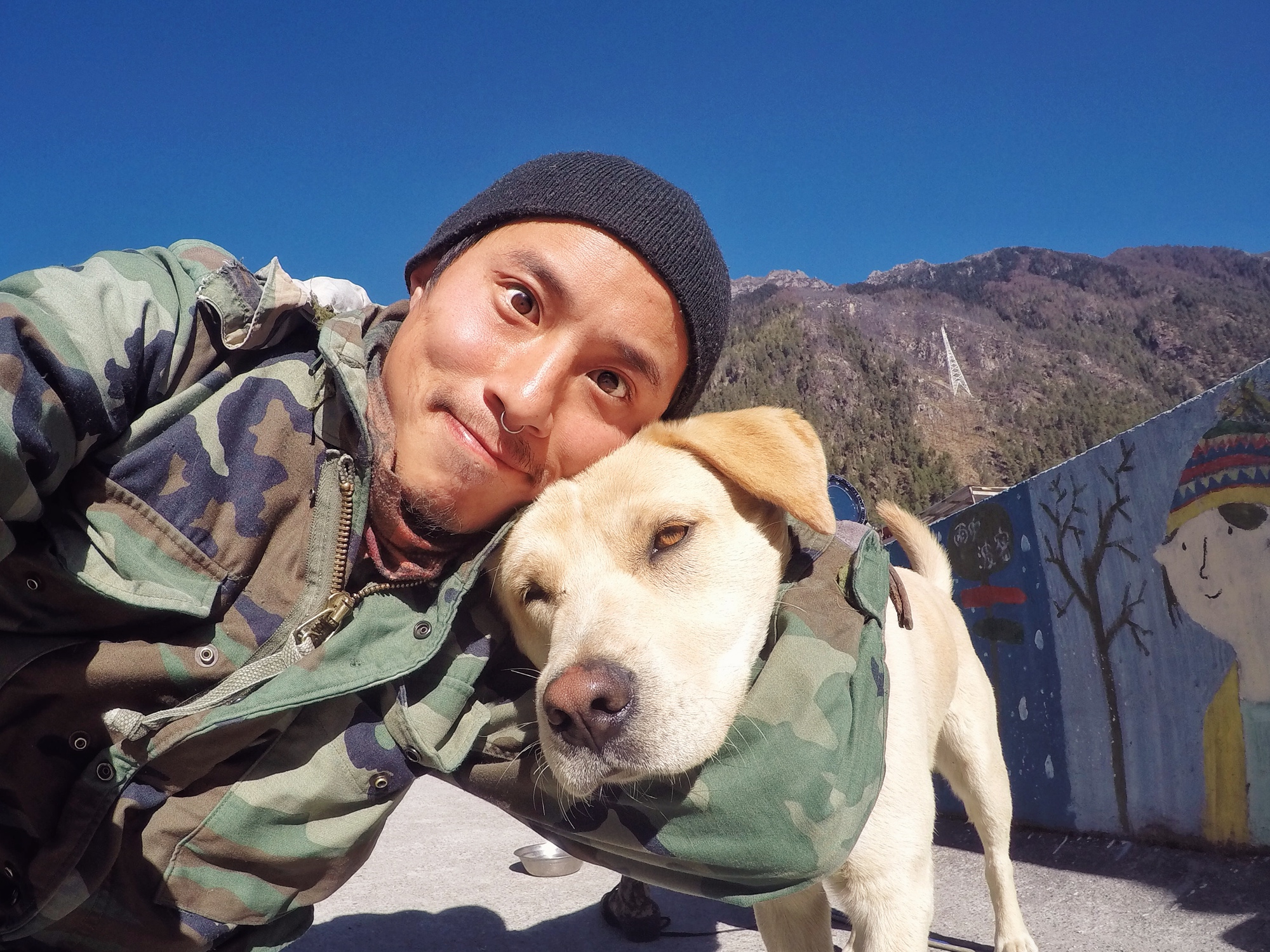 引用 亚历山大流浪狗 的图片