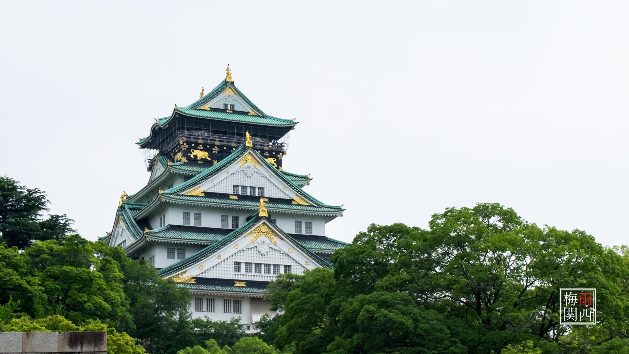 京都自助遊攻略