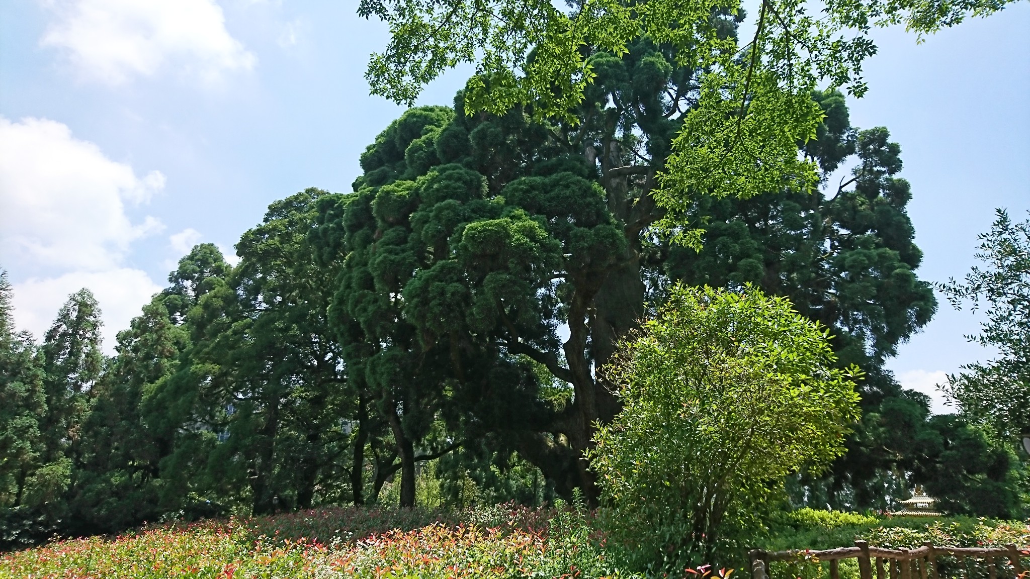 福州自助遊攻略