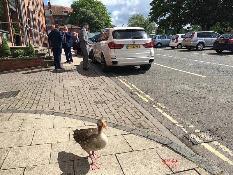 英國自助遊攻略