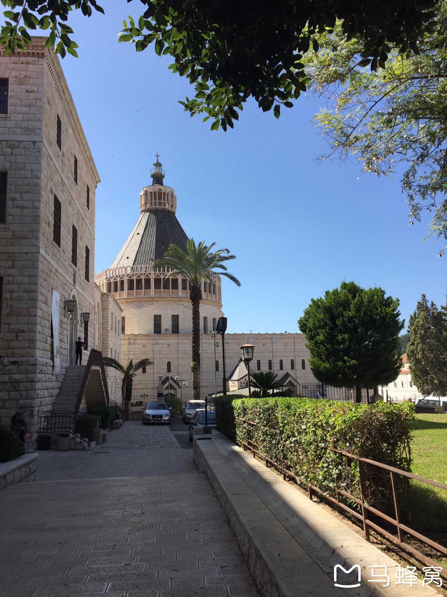 犹大树花开,迦南地游来,以色列自助游攻略 - 马蜂窝