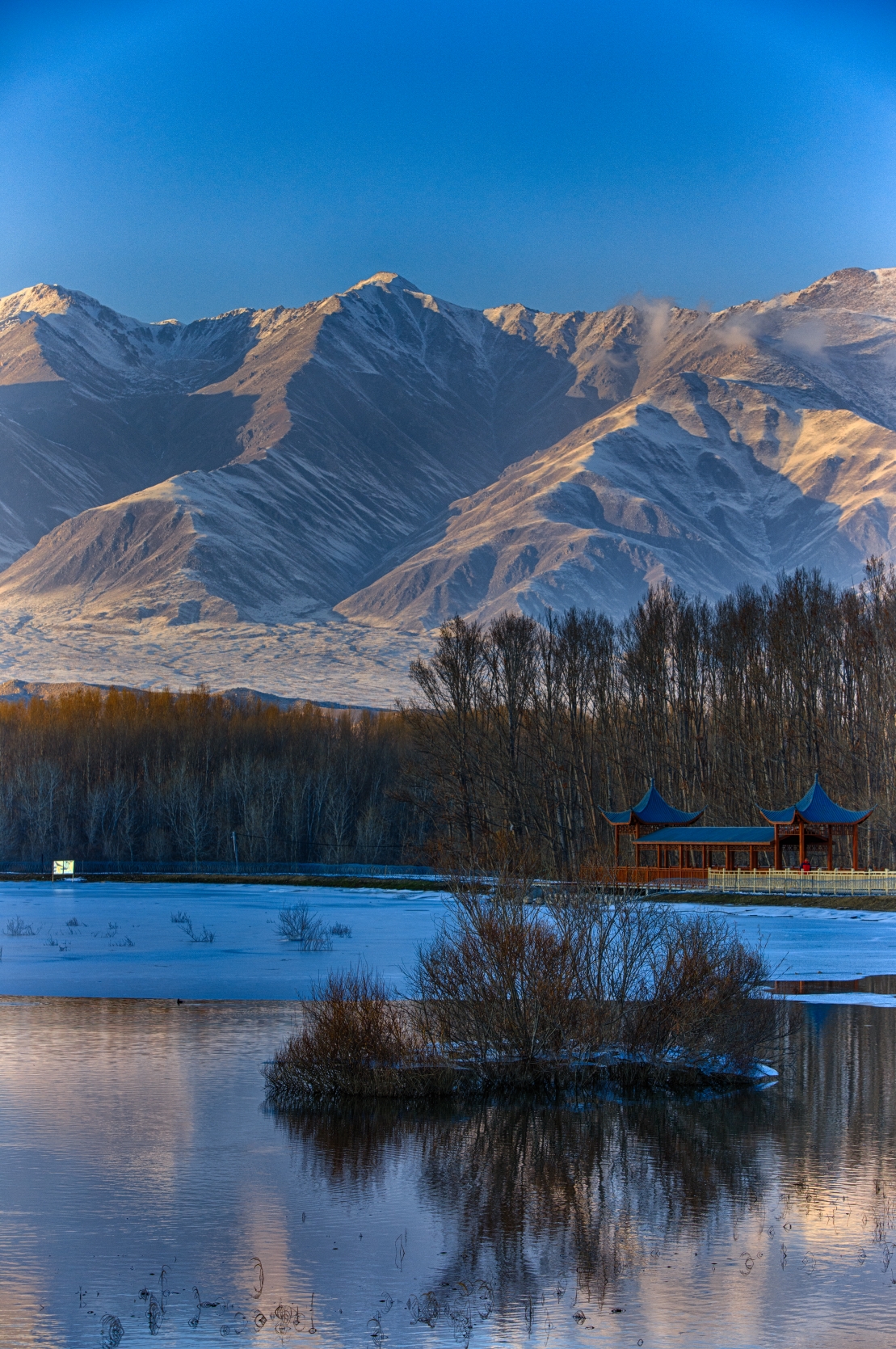 新疆博州温泉县博格达尔镇湿地公园