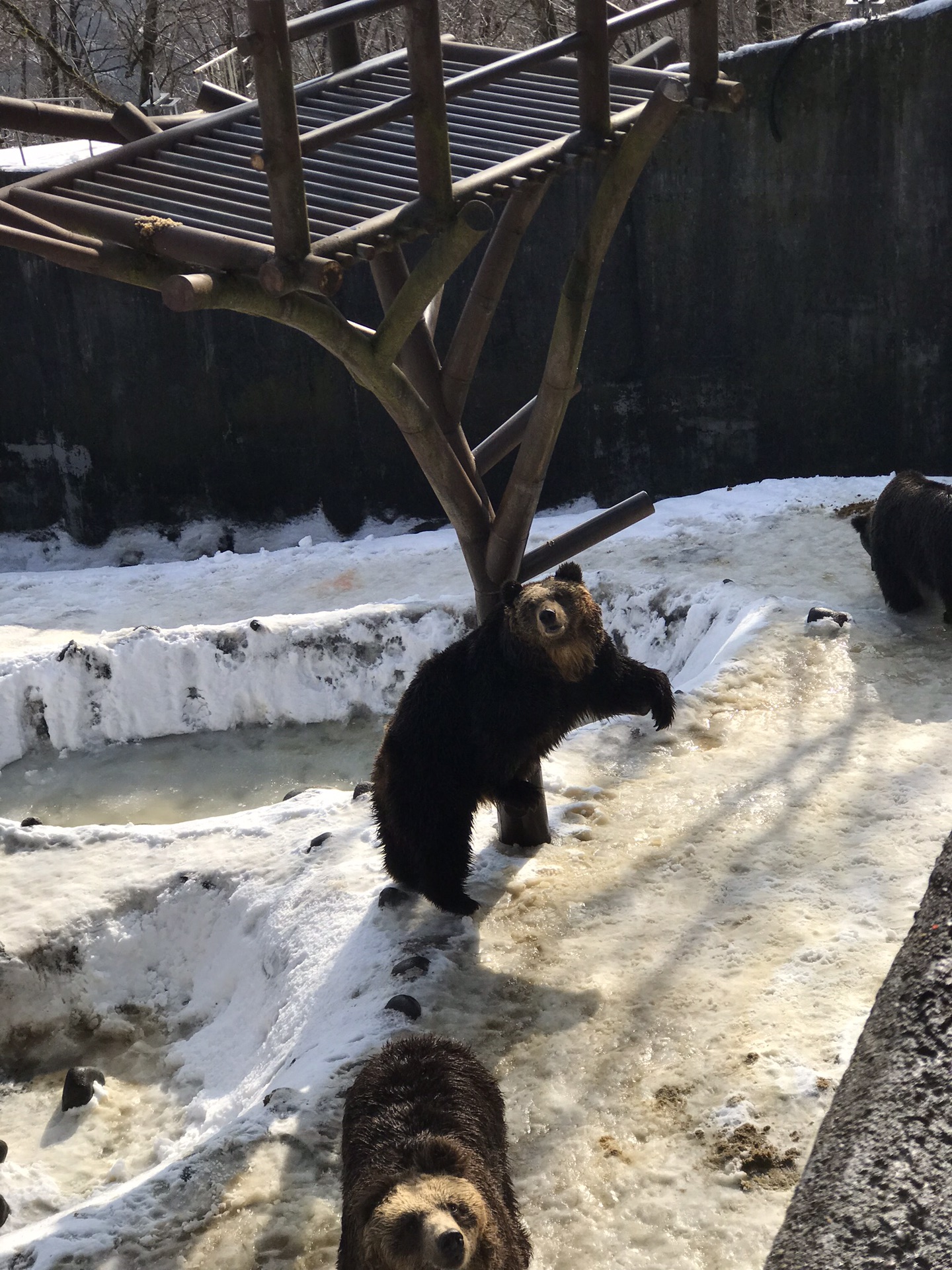 北海道自助遊攻略