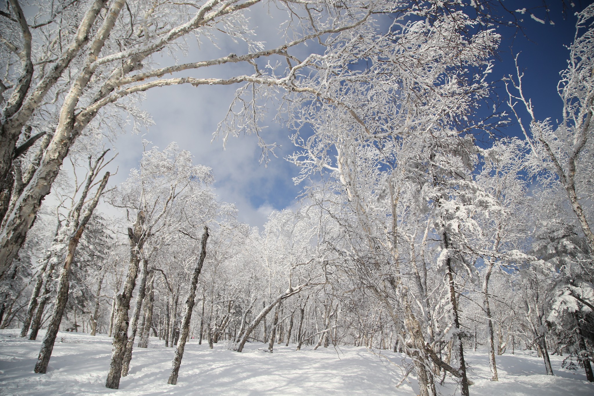 雪鄉自助遊攻略