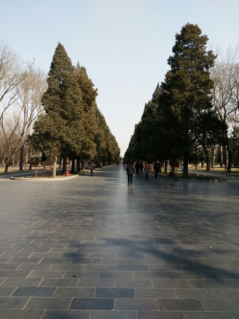 天壇公園,北京旅遊攻略 - 馬蜂窩