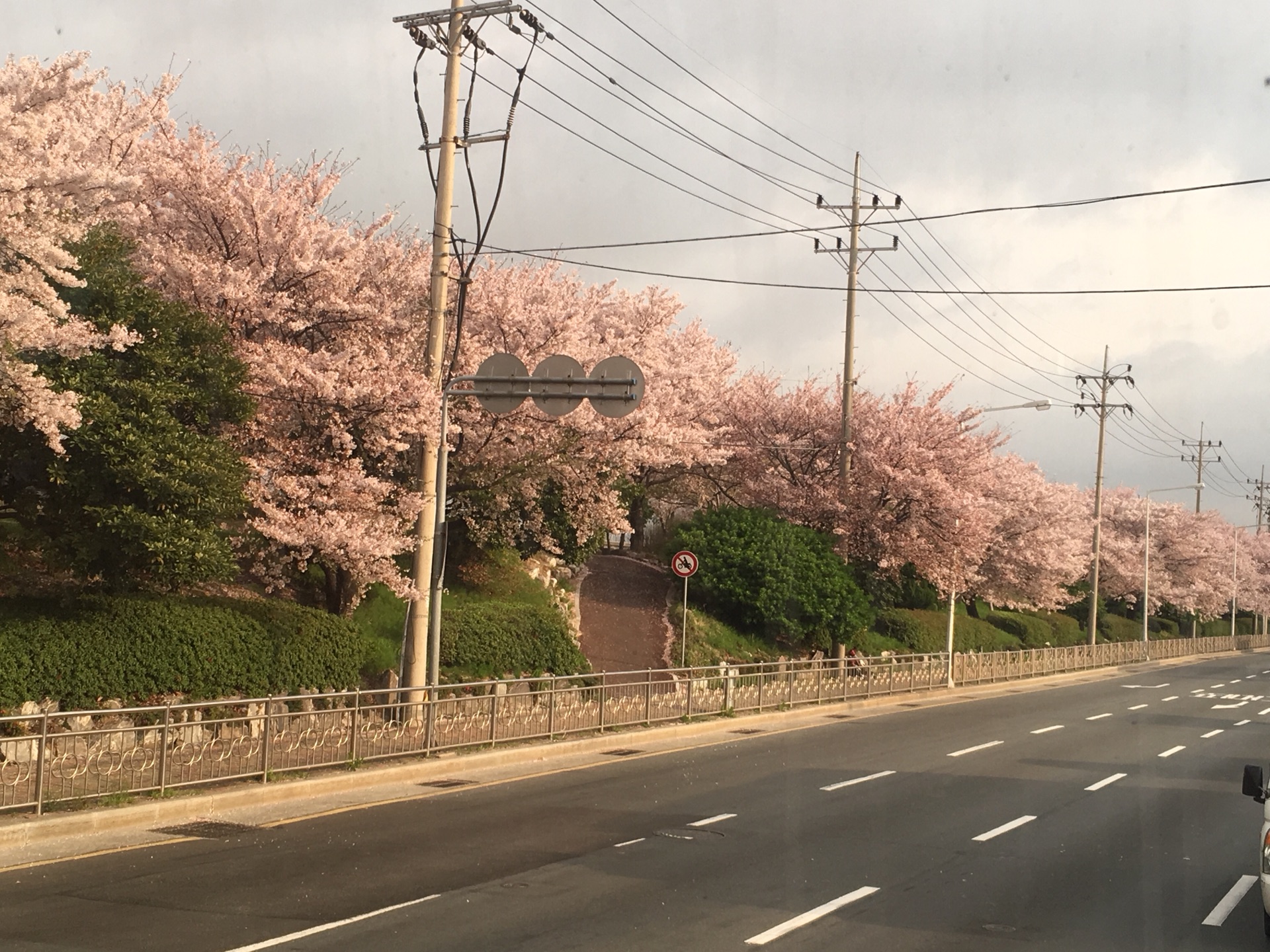 釜山自助遊攻略