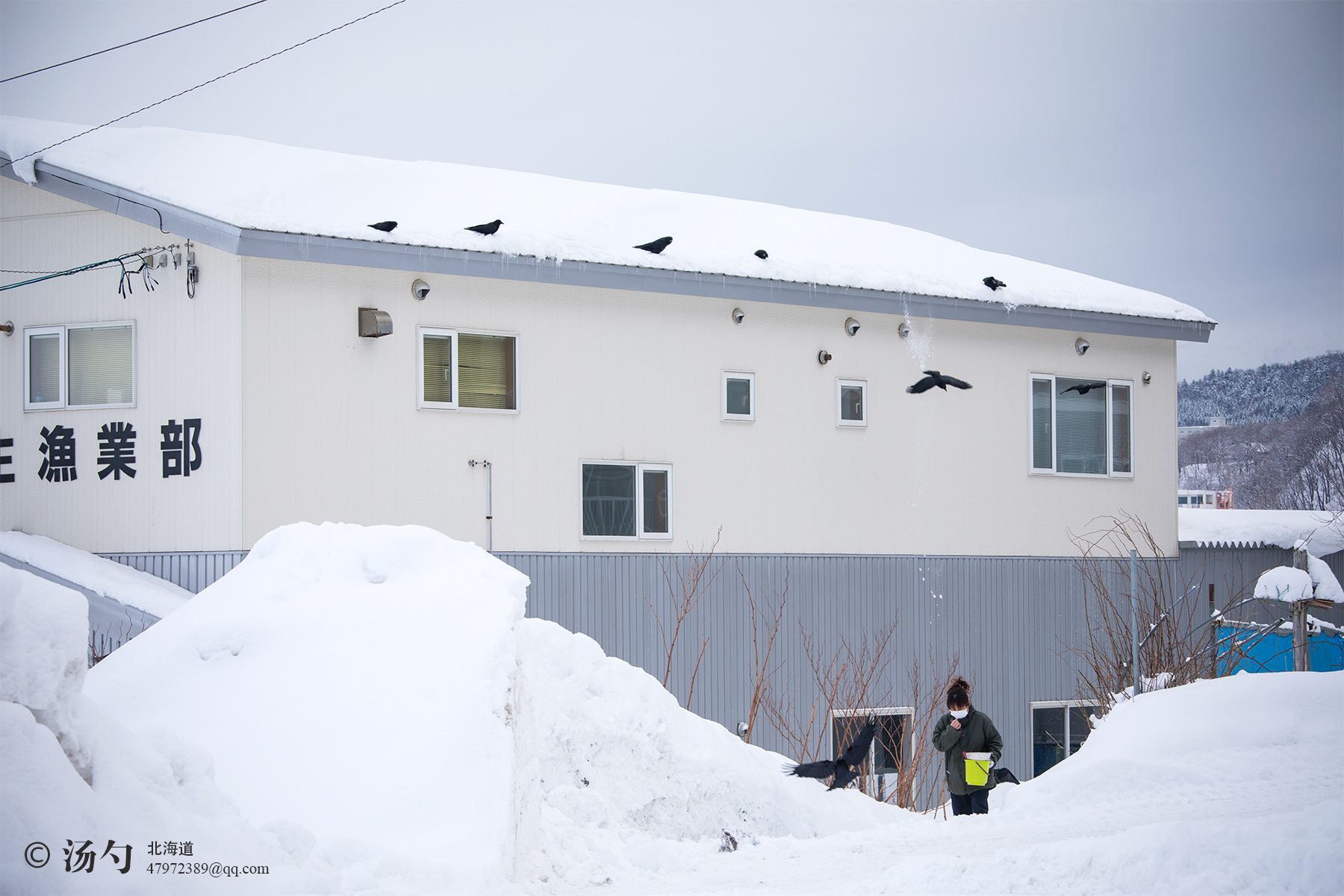 北海道自助遊攻略