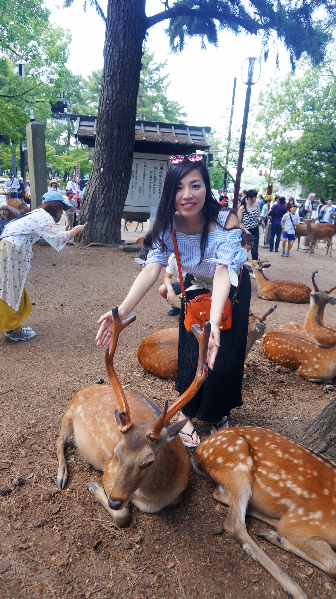 京都自助遊攻略