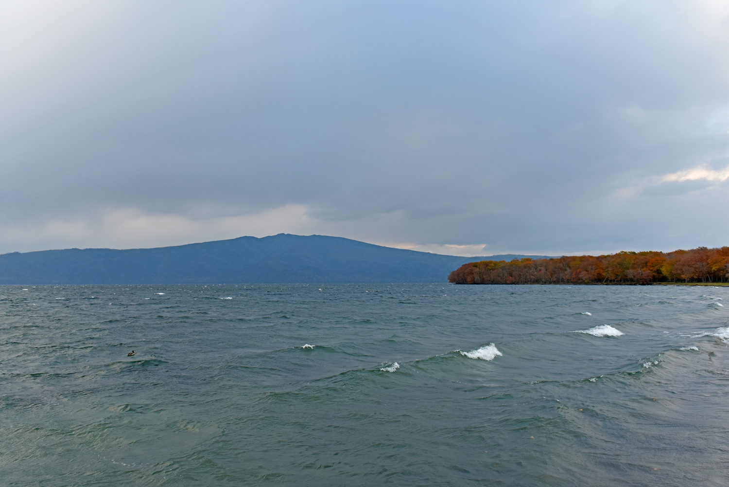 北海道自助遊攻略