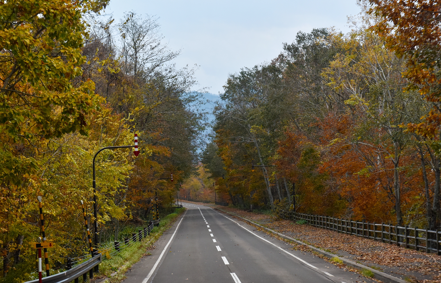 北海道自助遊攻略