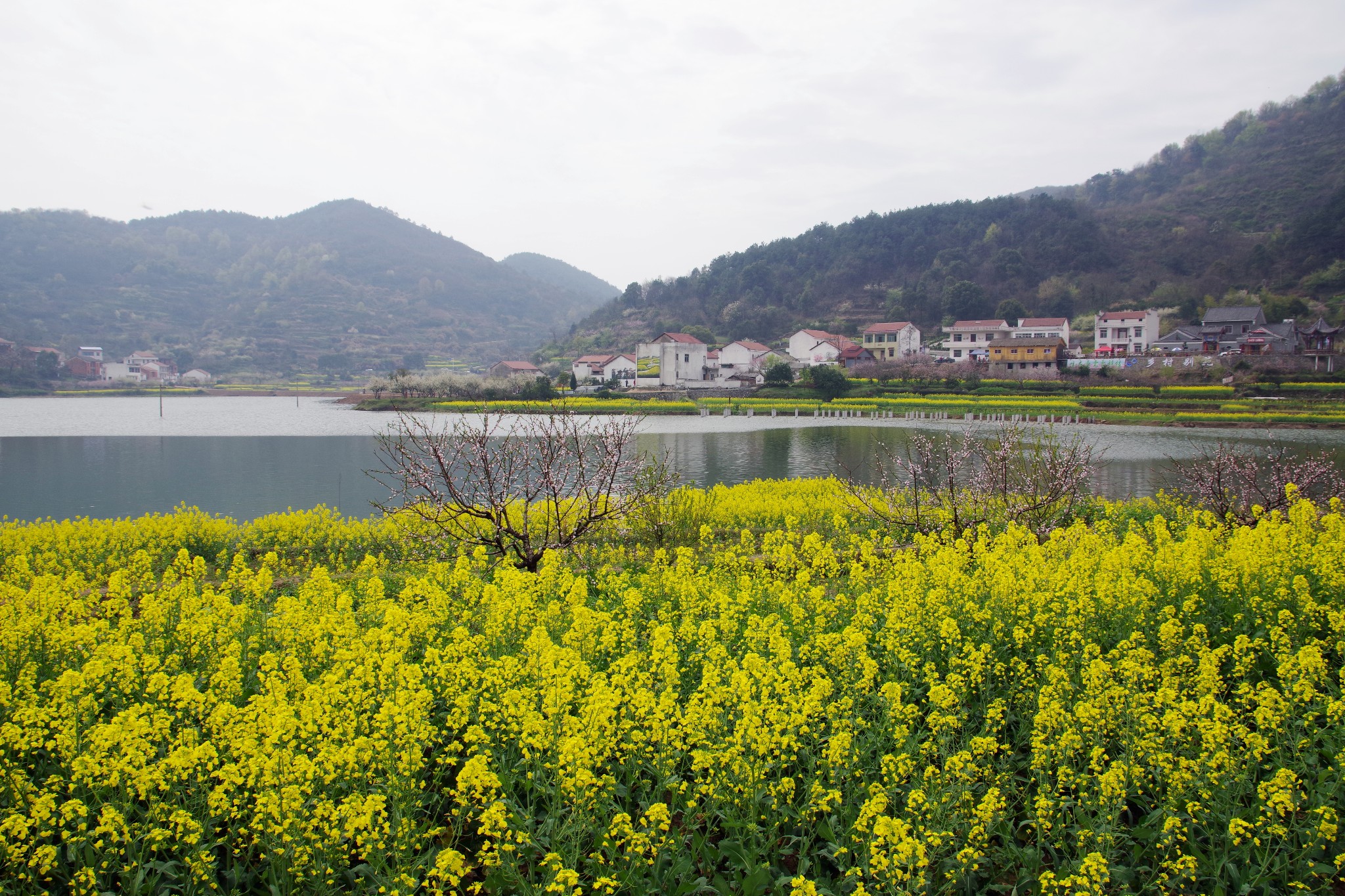 大冶保安镇沼山村旅游图片