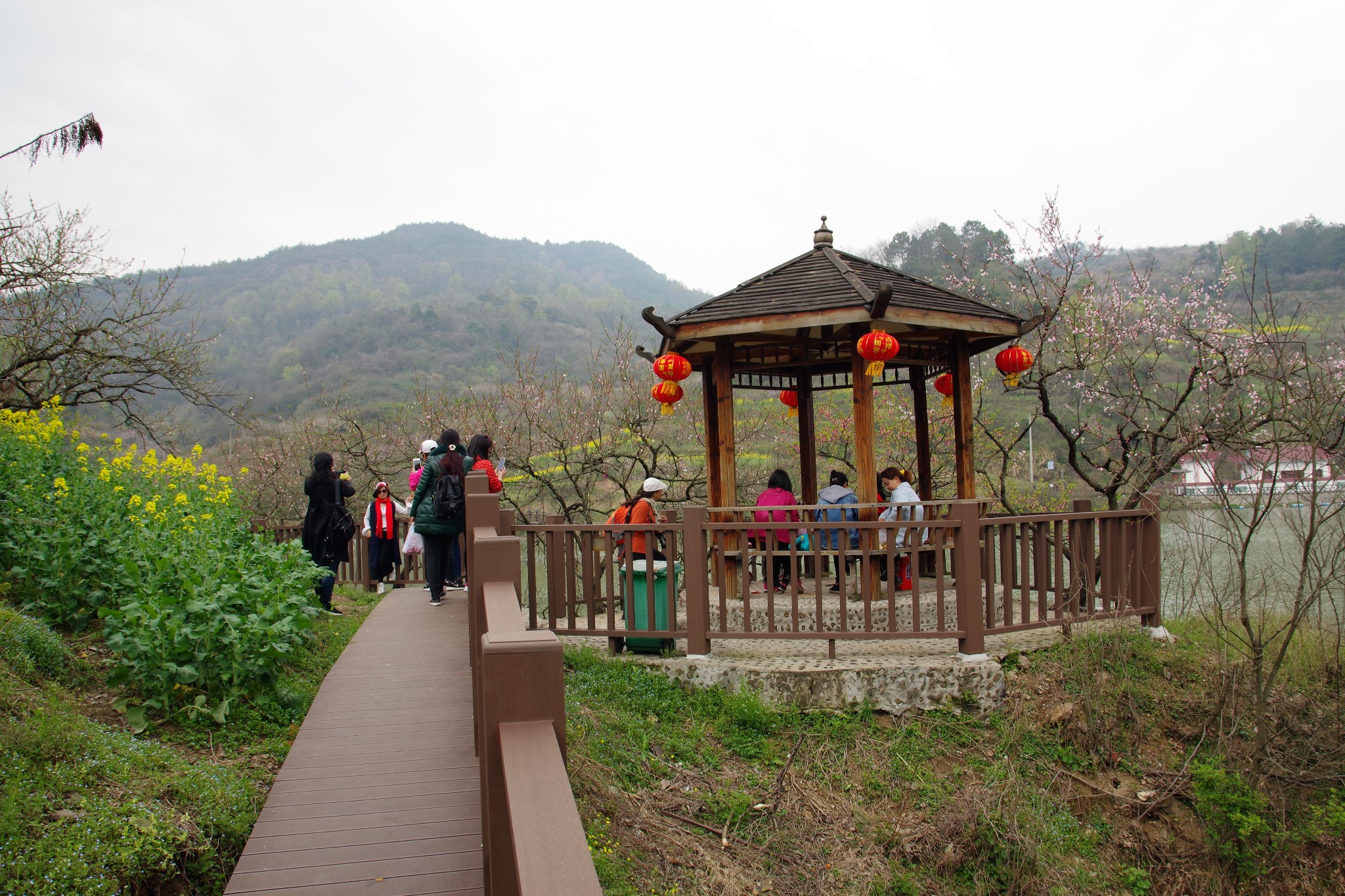 湖北小婺源大冶沼山村图片