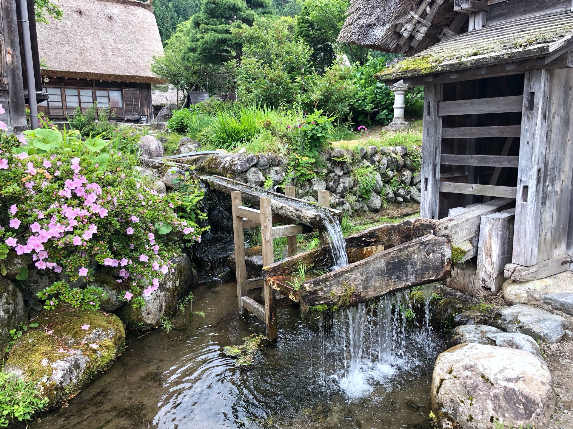 名古屋自助遊攻略