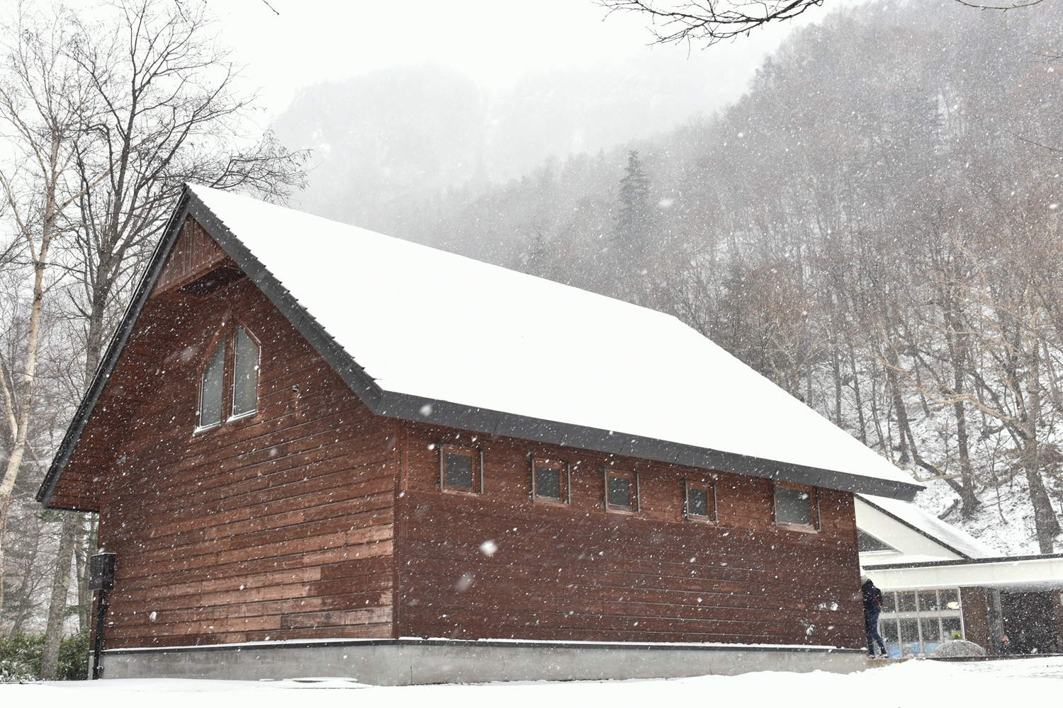 北海道自助遊攻略