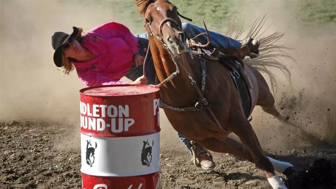 你一定会亲眼目睹一场集激情,速度,与力量的西部牛仔秀