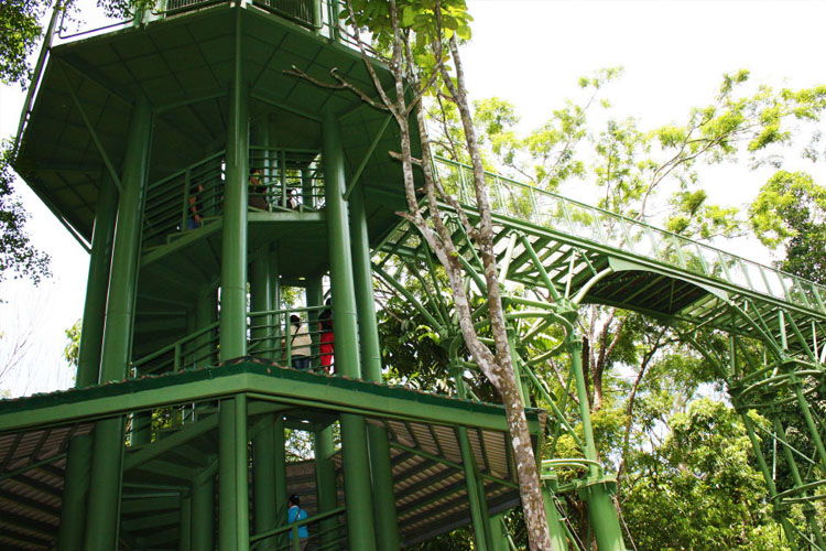 山打根生态游小众目的地玩法多