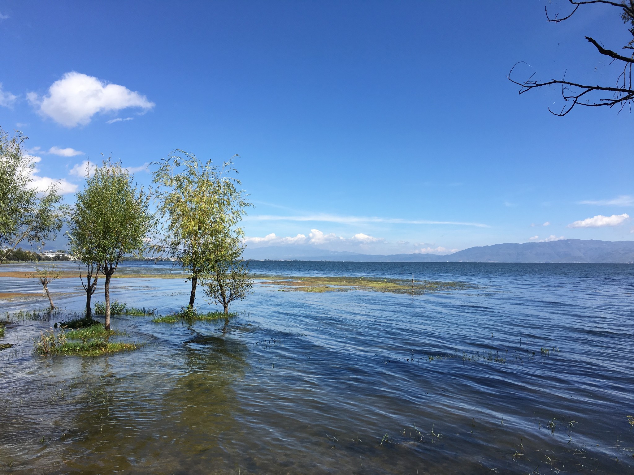 wKgBEFrl_2CAHnkxAAw14GwUaQ043.jpeg?imageView2%2F2%2Fw%2F680%2Fq%2F90%7CimageMogr2%2Fstrip%2Fquality%2F90