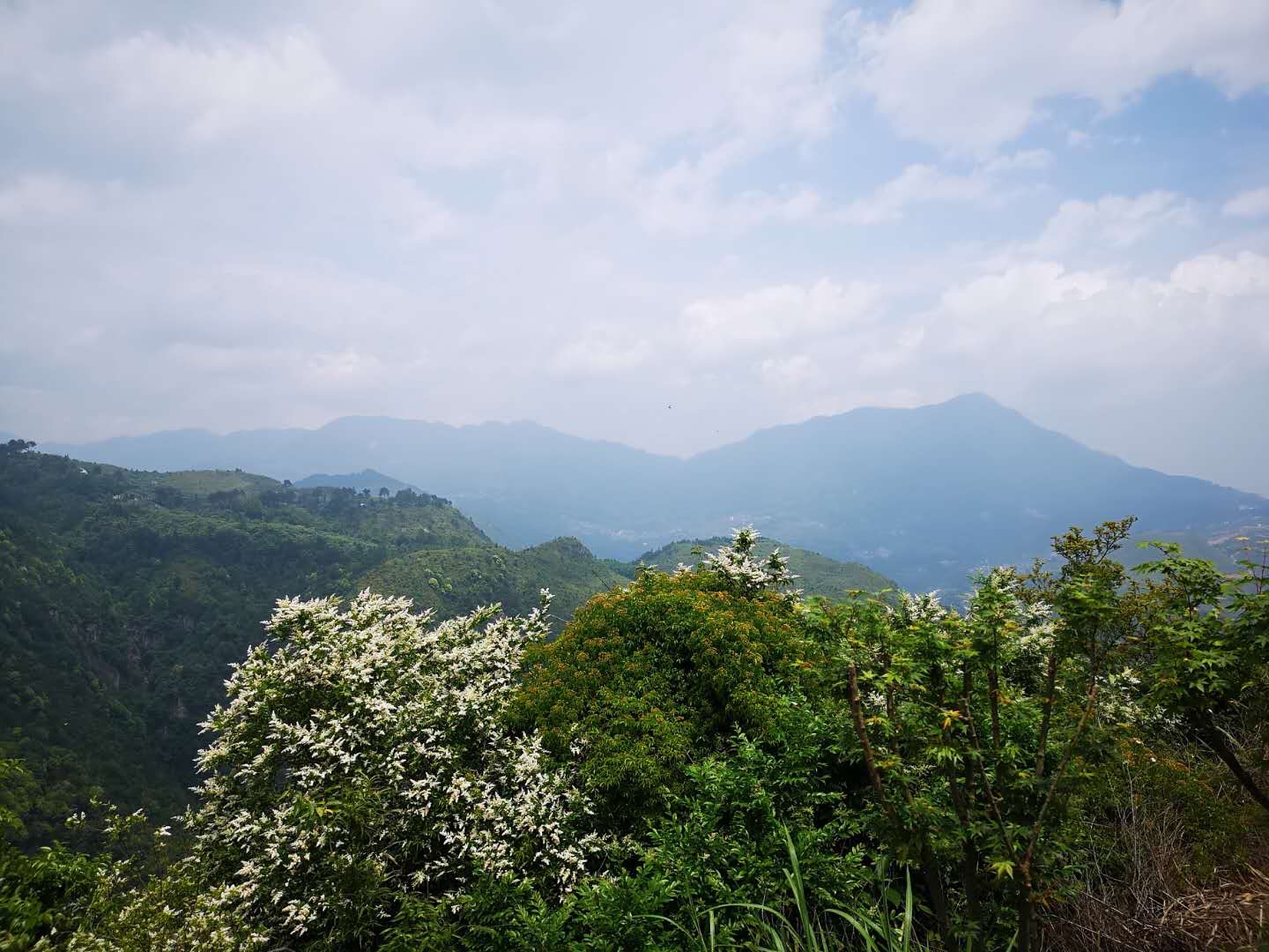 麗水青山-青田小舟山,青田旅遊攻略 - 馬蜂窩