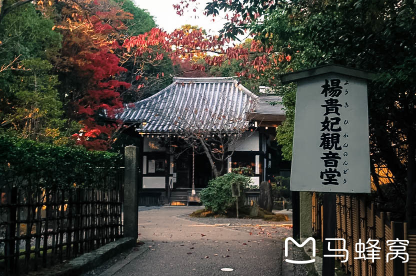 泉涌寺攻略 泉涌寺门票 地址 泉涌寺景点攻略 马蜂窝