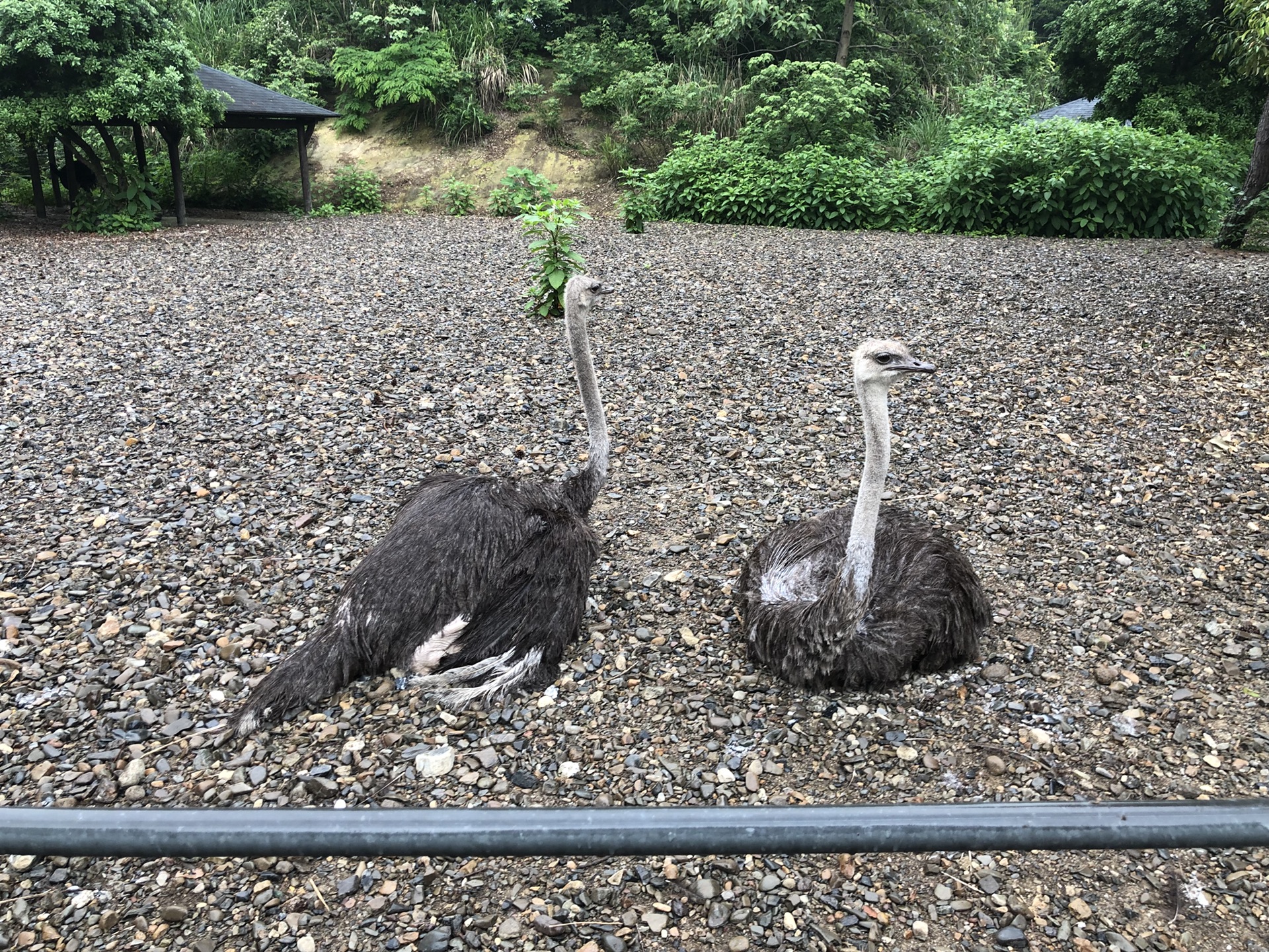 千島湖自助遊攻略