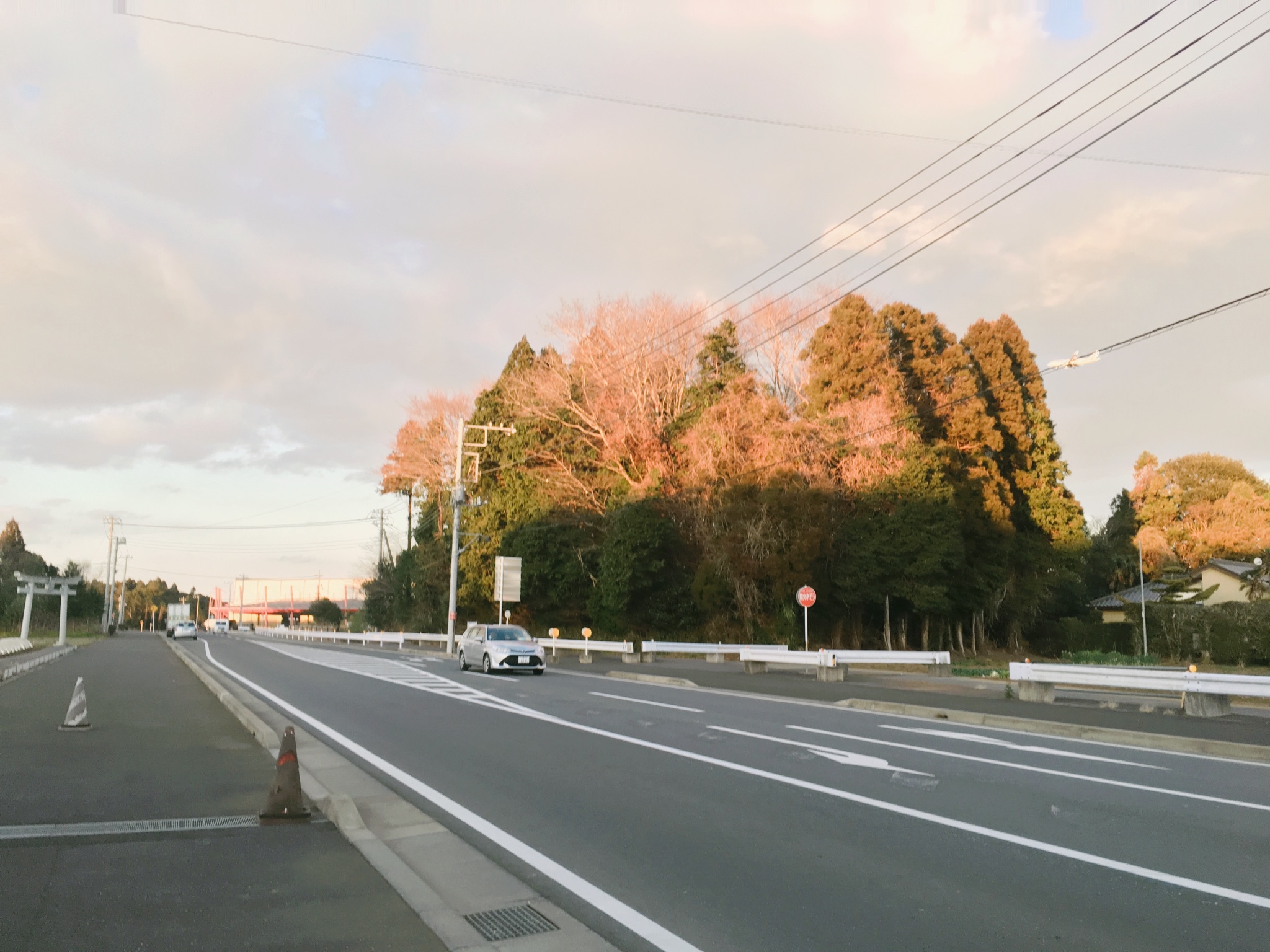 札幌自助遊攻略