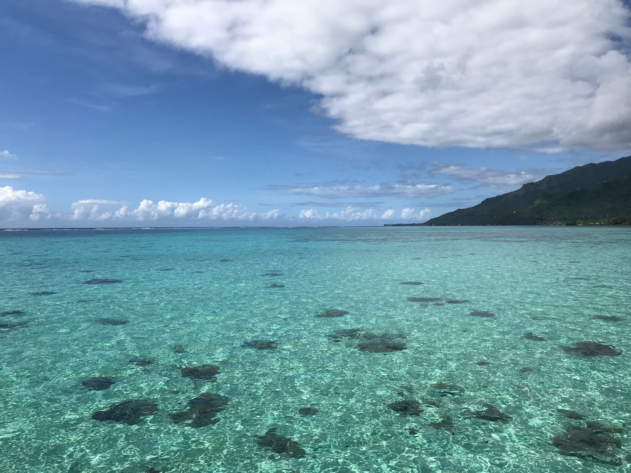 大溪地自助遊攻略