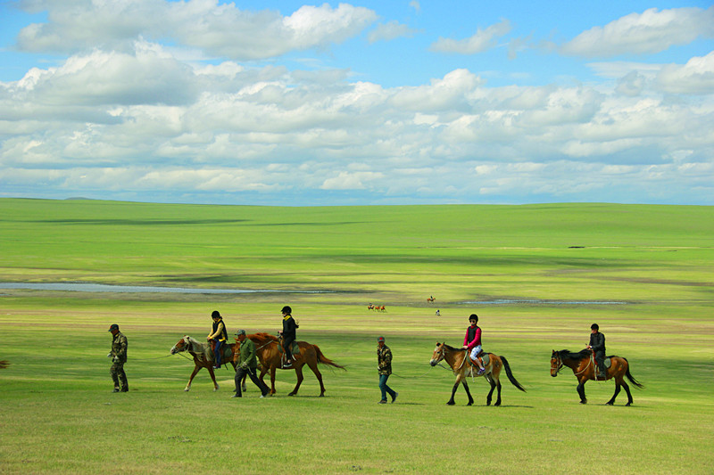 呼伦贝尔大草原旅游包车,呼伦贝尔自由行草原旅游攻略