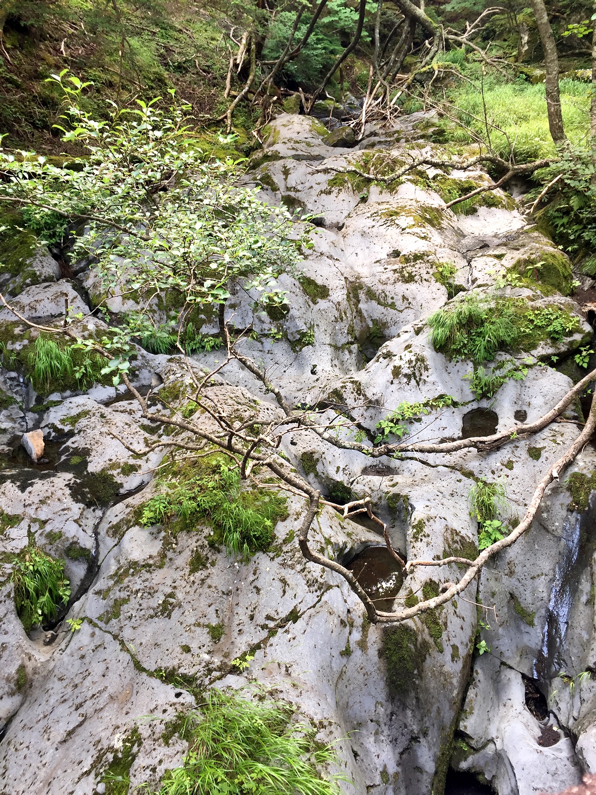 富士山自助遊攻略