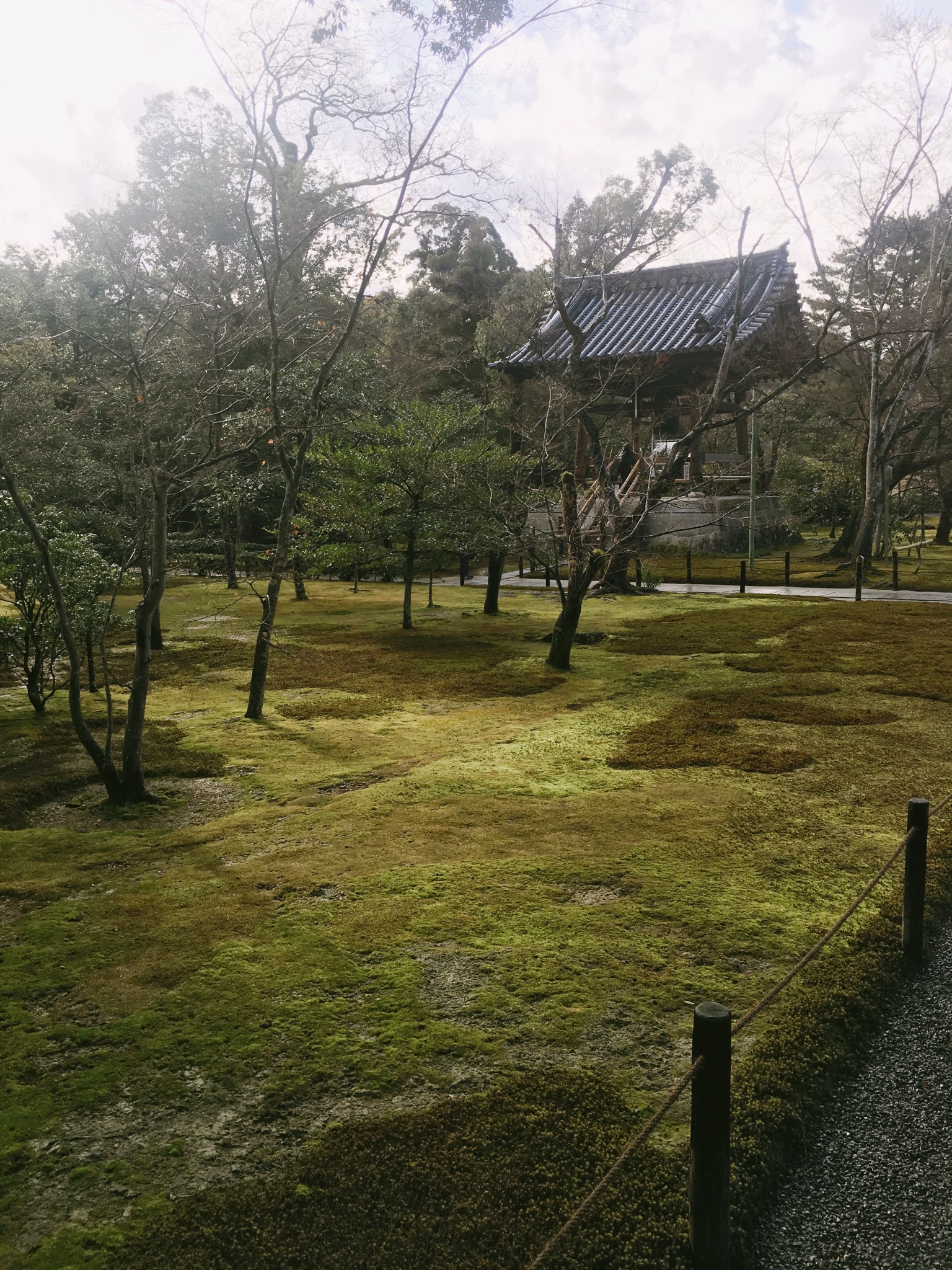 札幌自助遊攻略