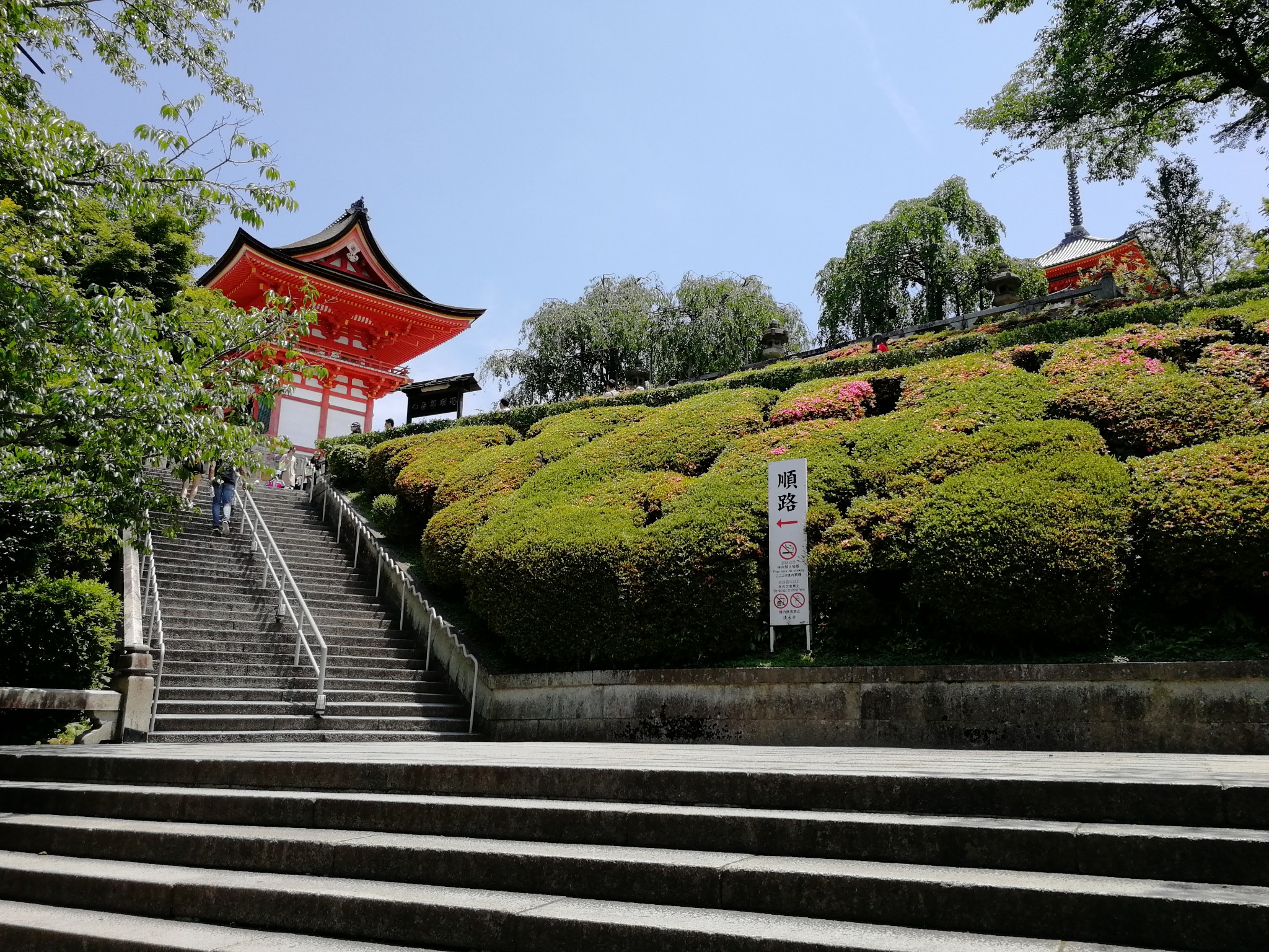 京都自助遊攻略