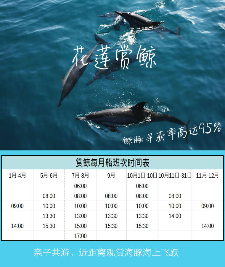 台湾花莲赏鲸豚纯玩欢乐体验含市区接送 马蜂窝自由行 马蜂窝自由行