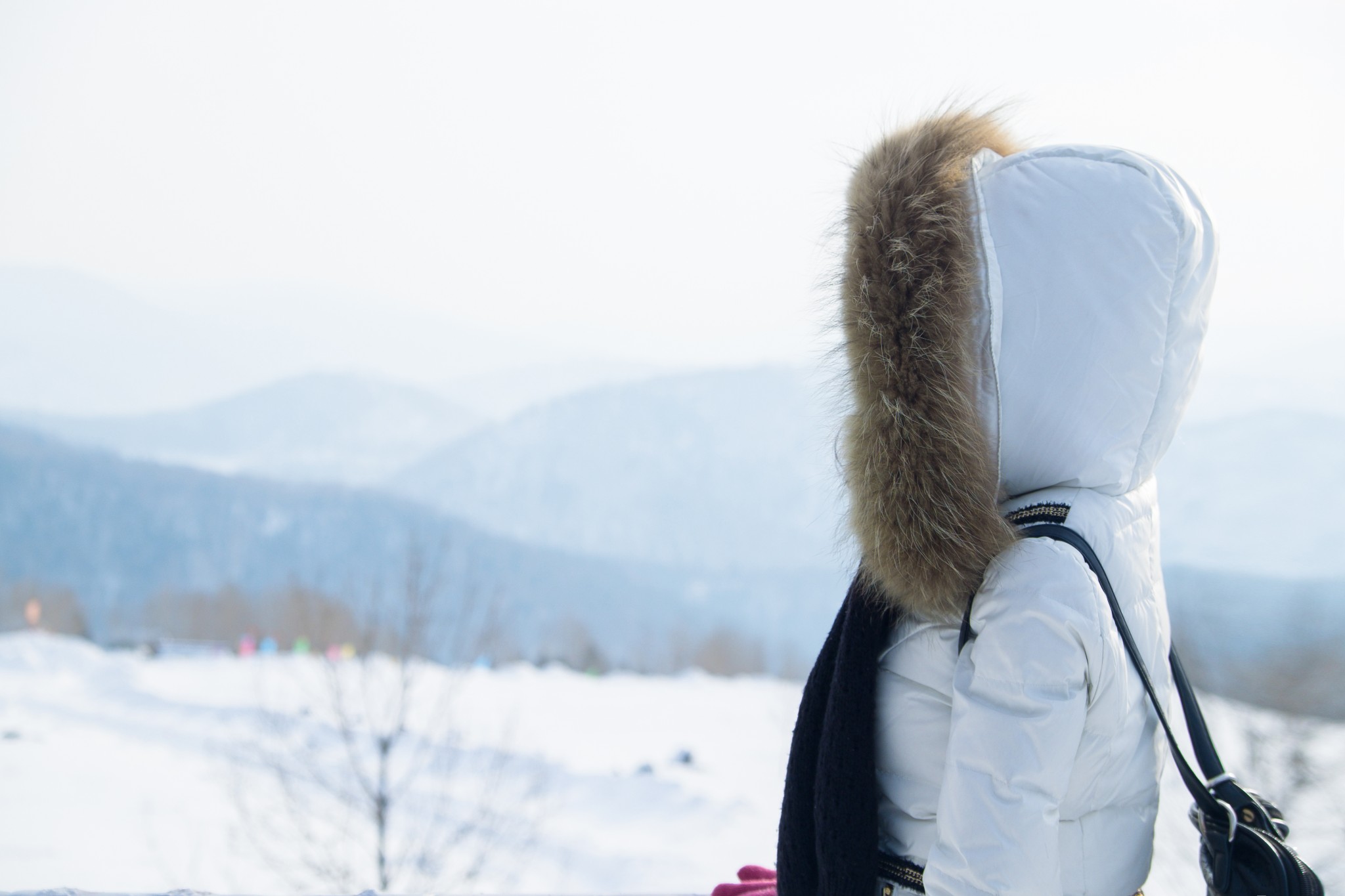 雪鄉自助遊攻略