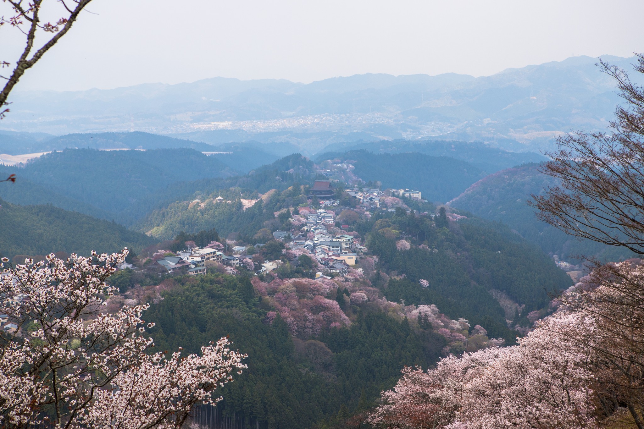 和歌山市自助遊攻略