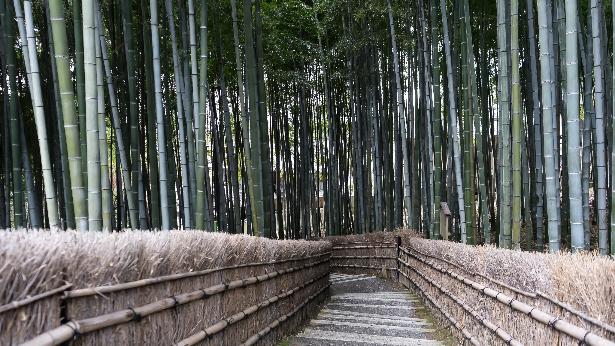 京都化野念佛寺游记 化野念佛寺旅游攻略 化野念佛寺自助游游记 马蜂窝