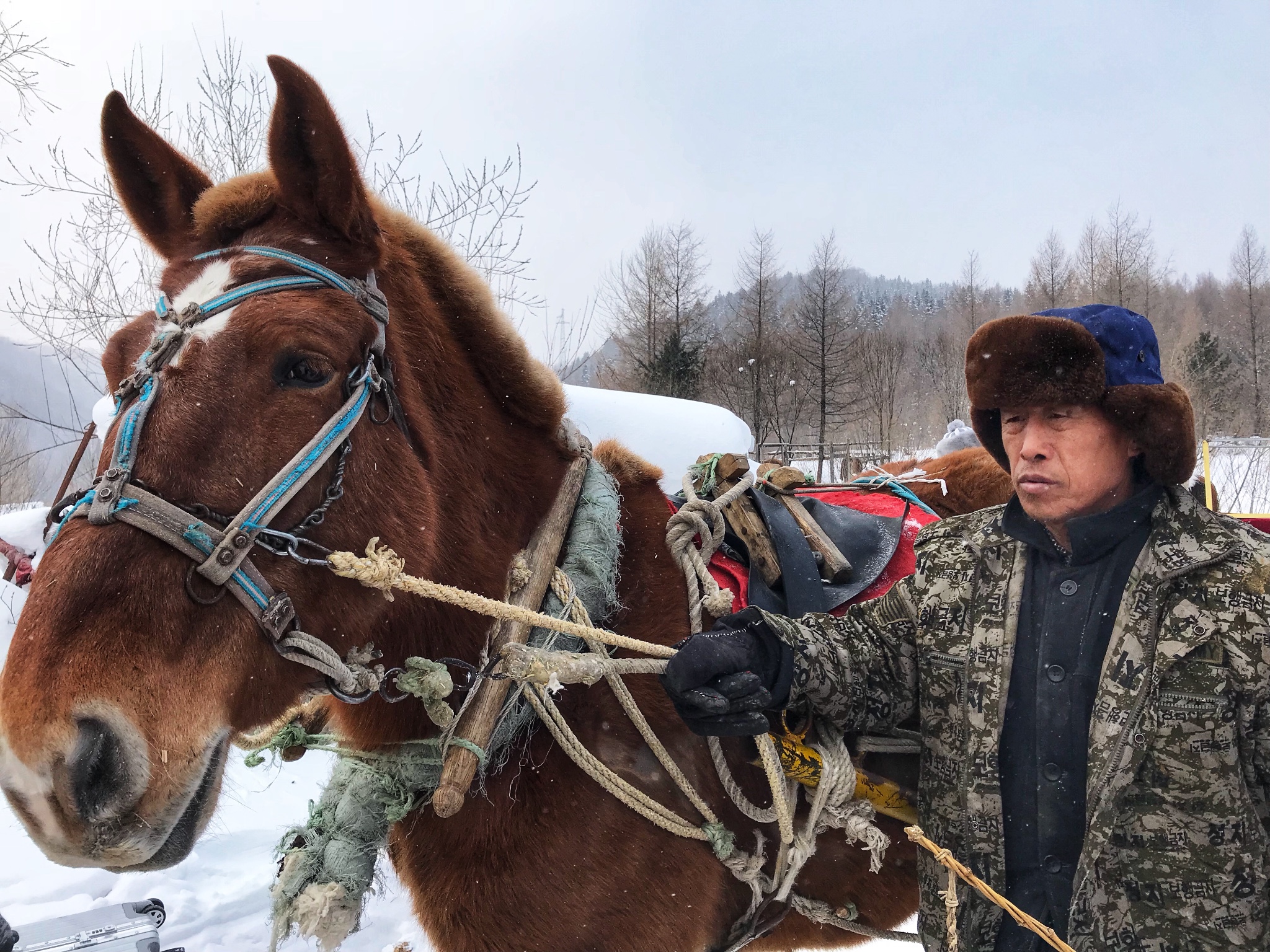 雪鄉自助遊攻略