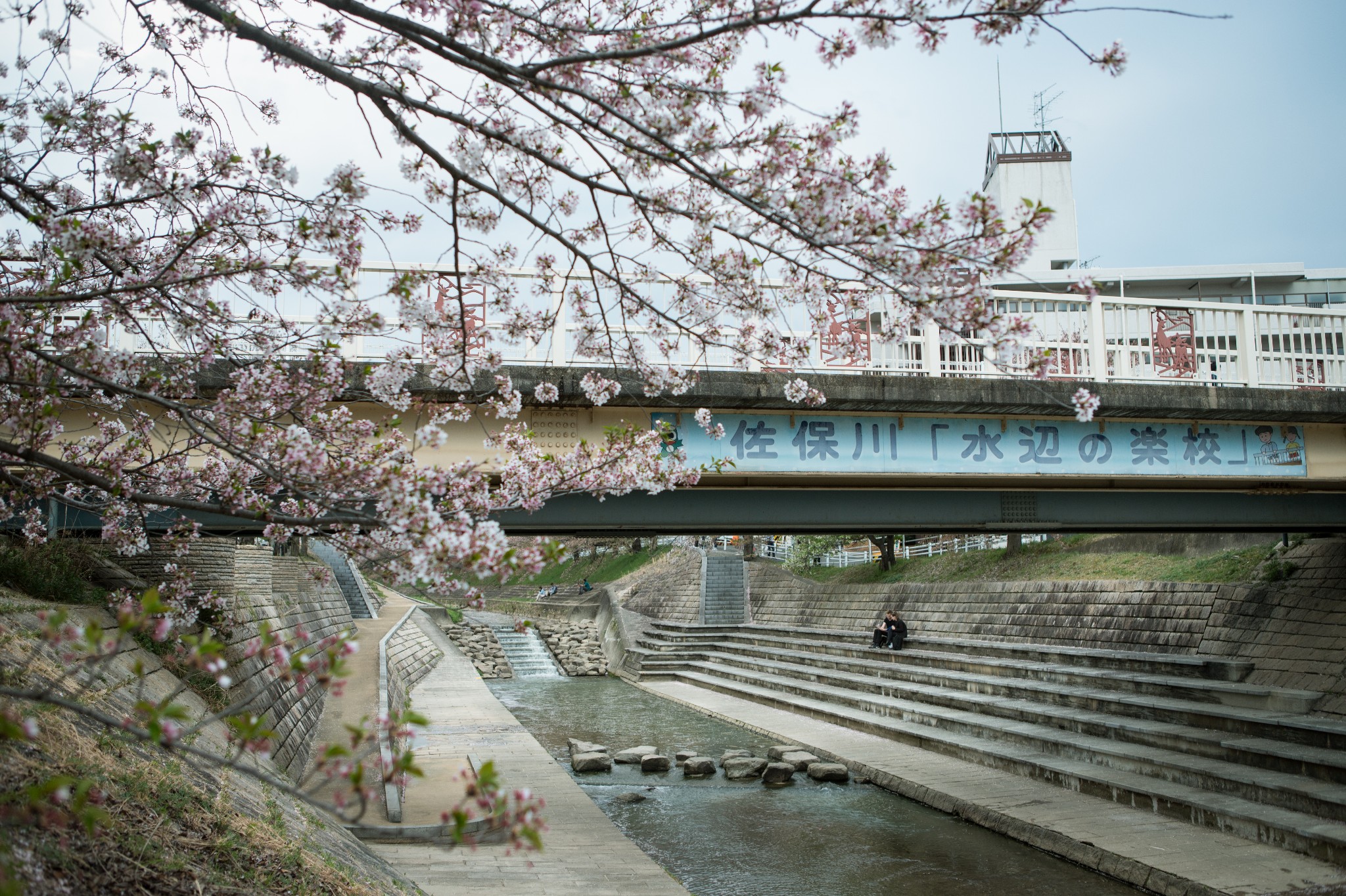 和歌山市自助遊攻略