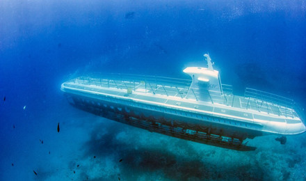 夏威夷亚特兰蒂斯潜水艇观光(中文语音讲解器 深入海底100英尺 大岛 )