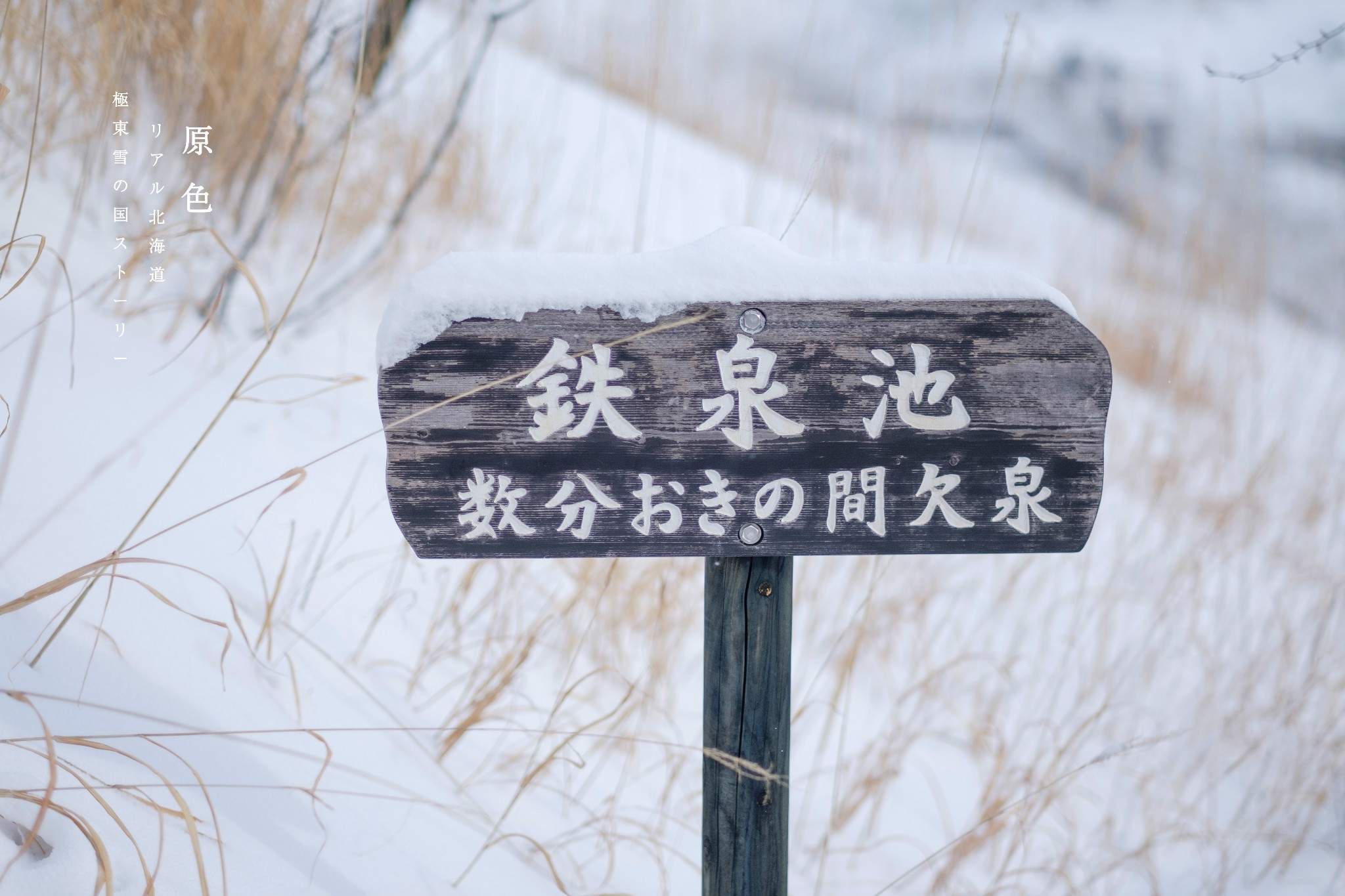 北海道自助遊攻略