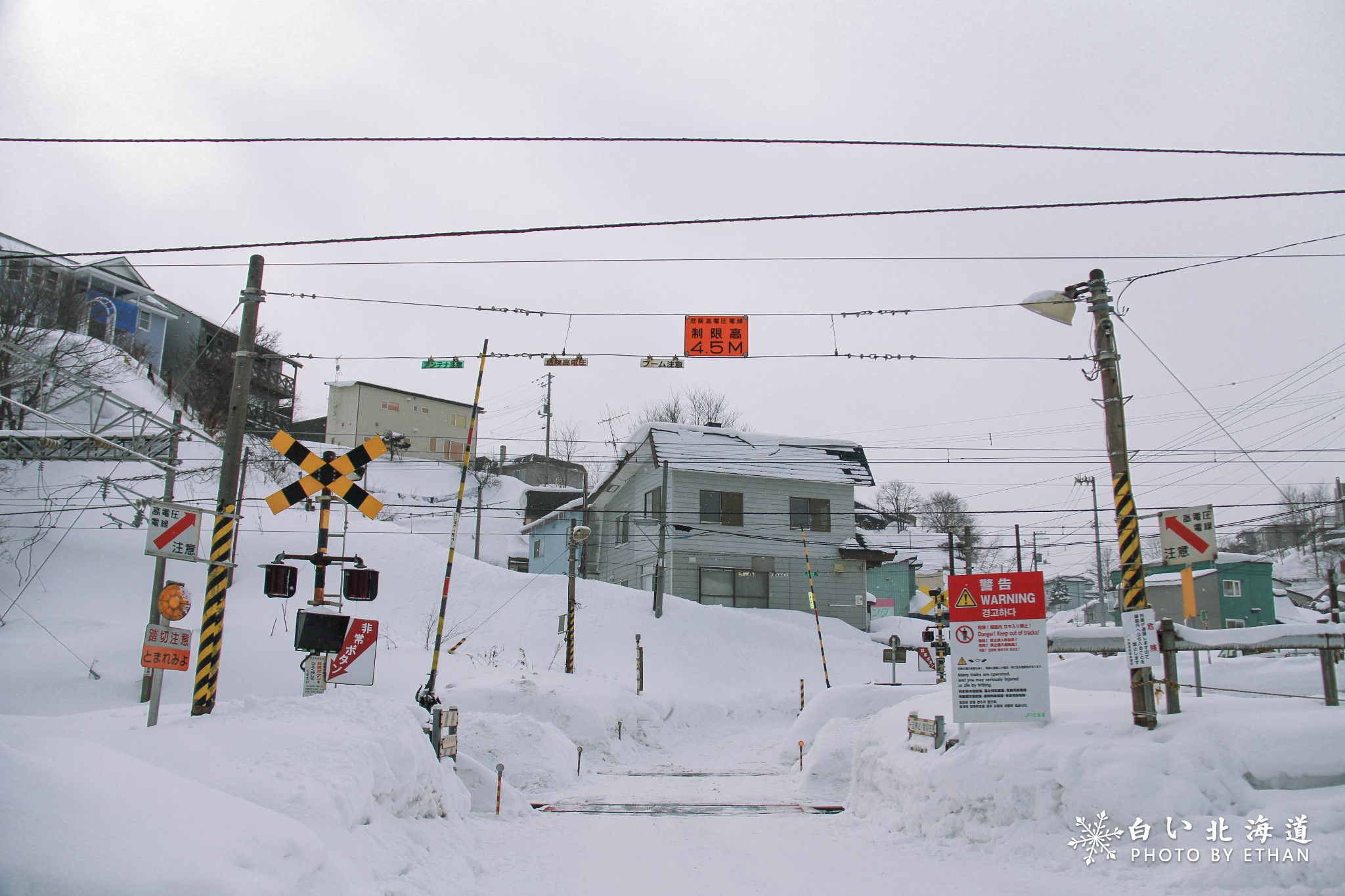 北海道自助遊攻略