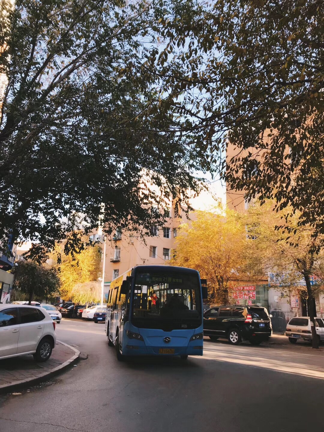 深秋的小城阜新