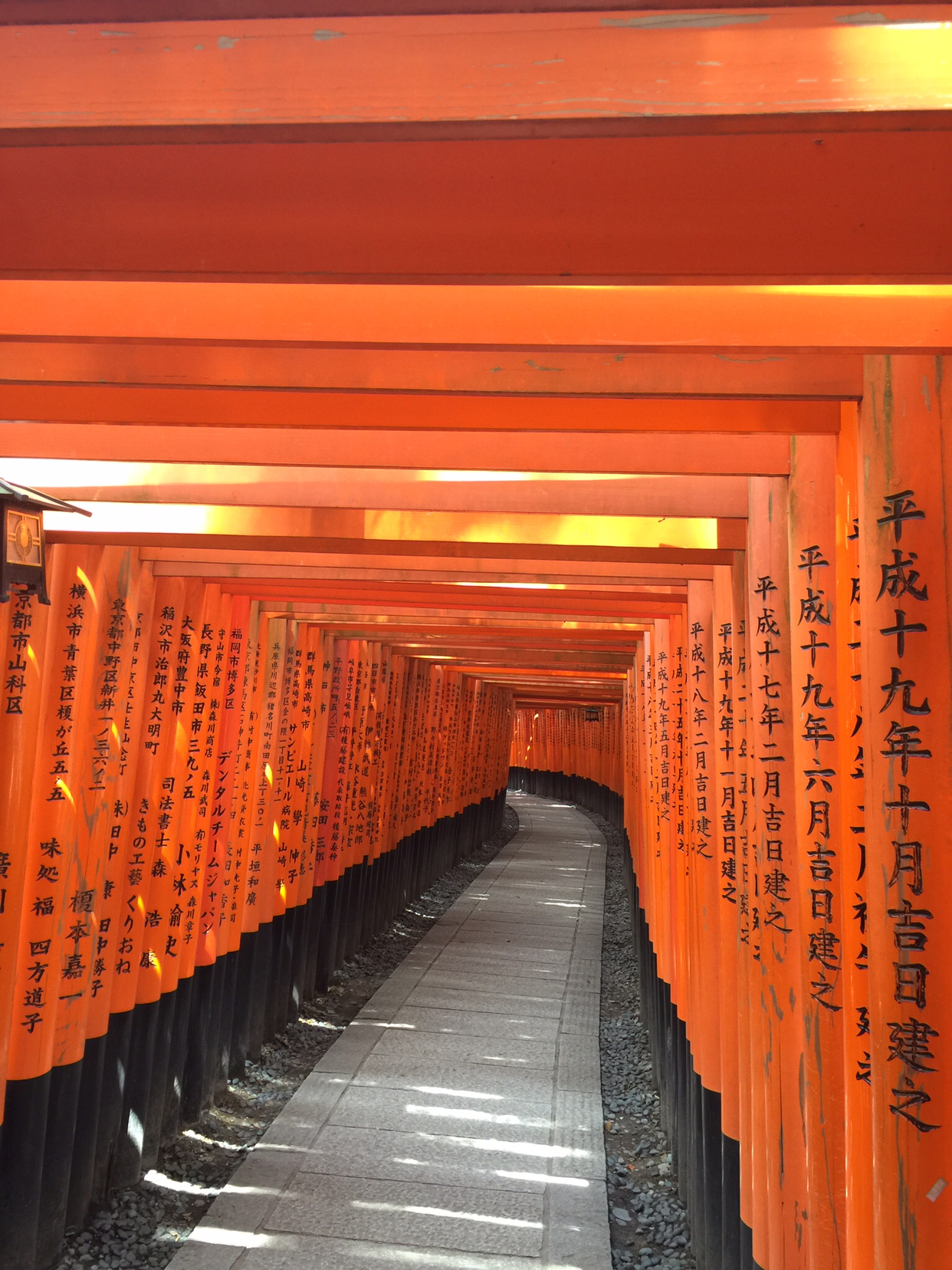 奈良和京都你更喜欢哪里 好像大家都更喜欢京都 马蜂窝