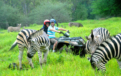 骑500年高龄象龟·香港出发毛里求斯7天自由行(咨询有惊喜 红顶教堂