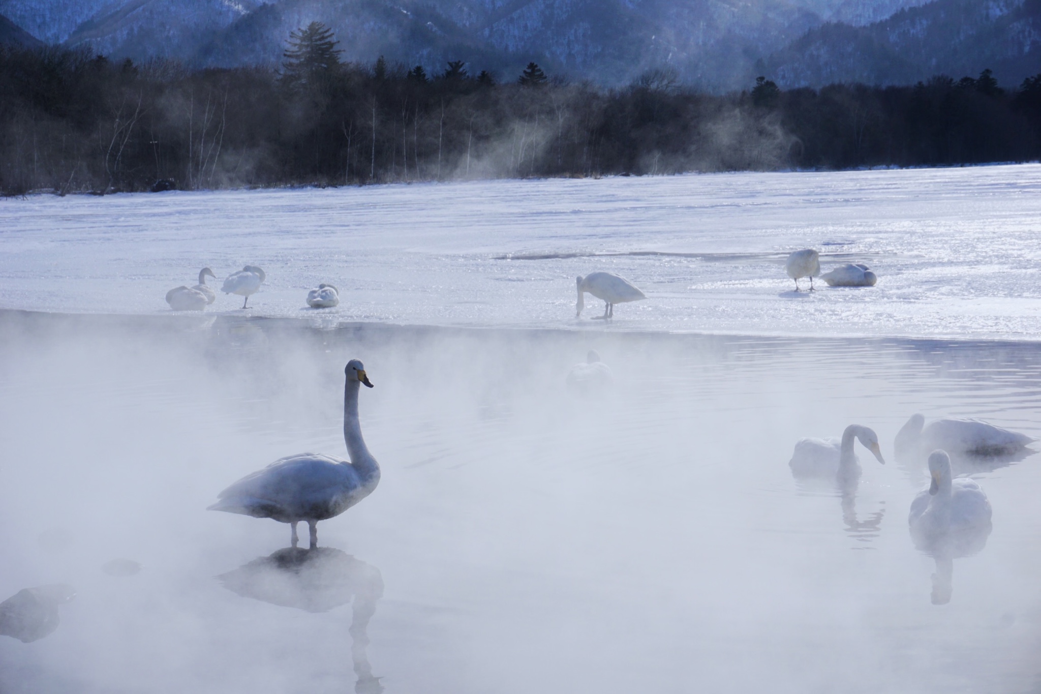 北海道自助遊攻略