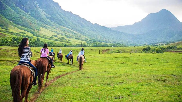夏威夷欧胡岛古兰尼牧场体验 骑马 Atv沙滩车 电影拍摄地 神秘岛 可接送 马蜂窝自由行 马蜂窝自由行