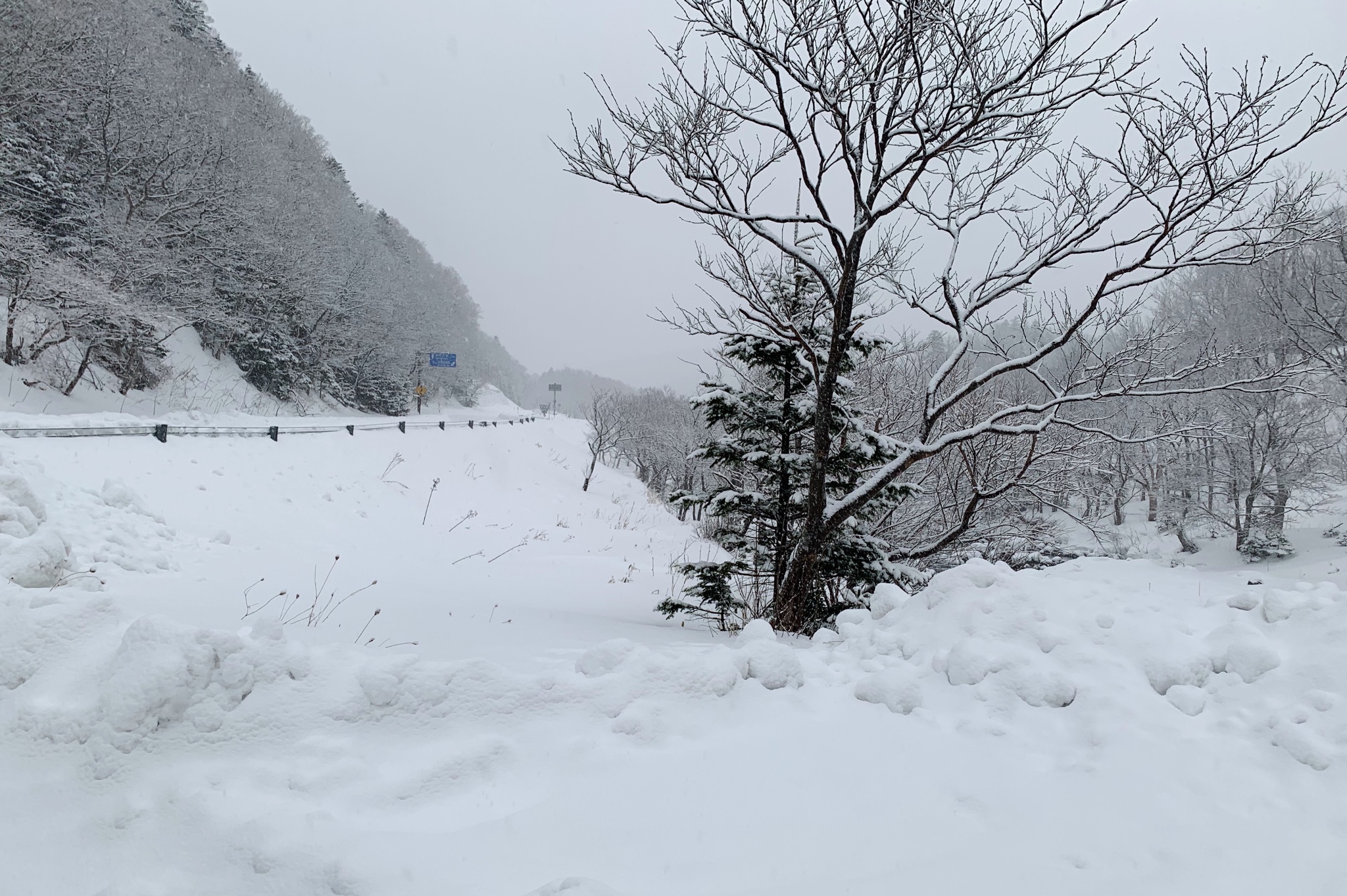 北海道自助遊攻略