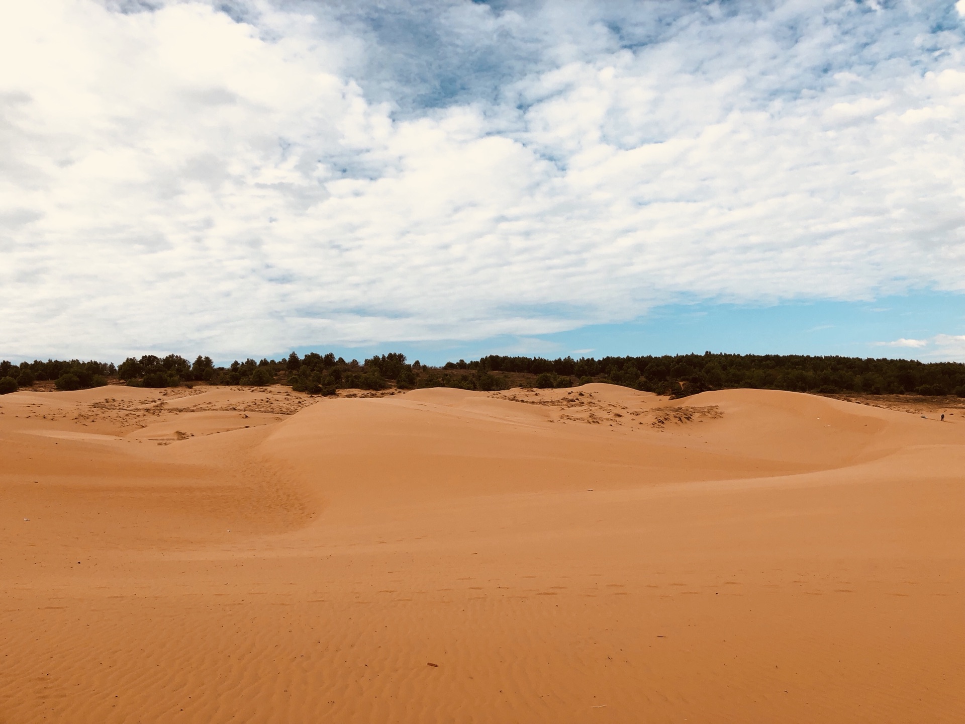 什么岸火成语_成语故事图片(3)