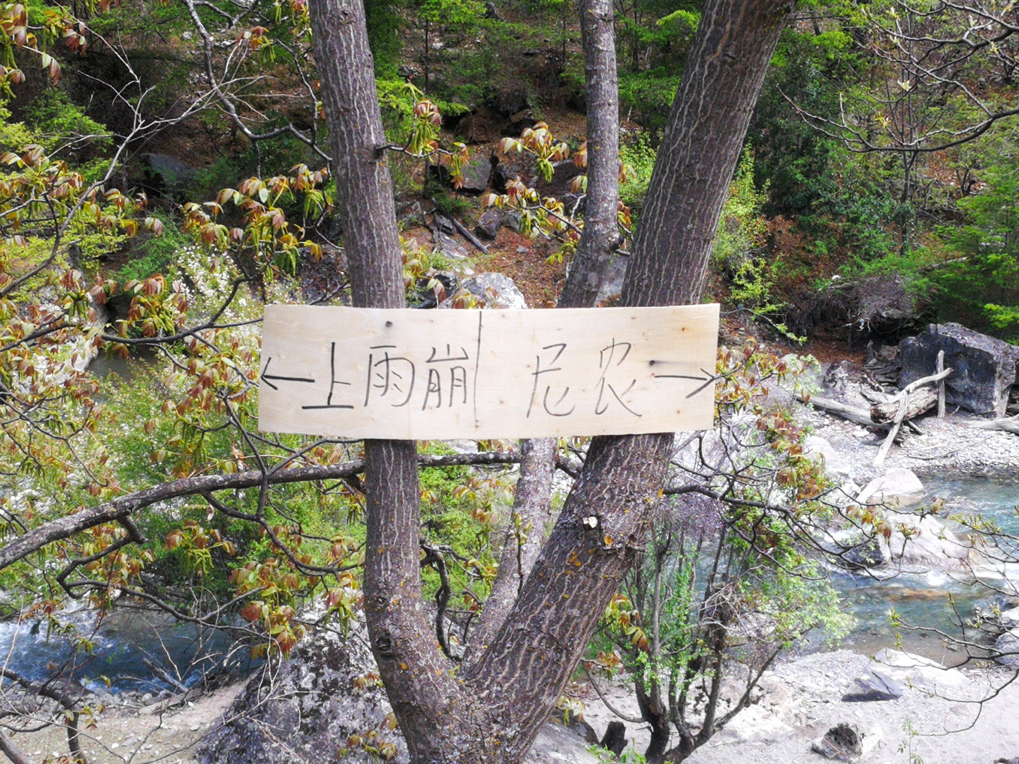 雨崩自助遊攻略