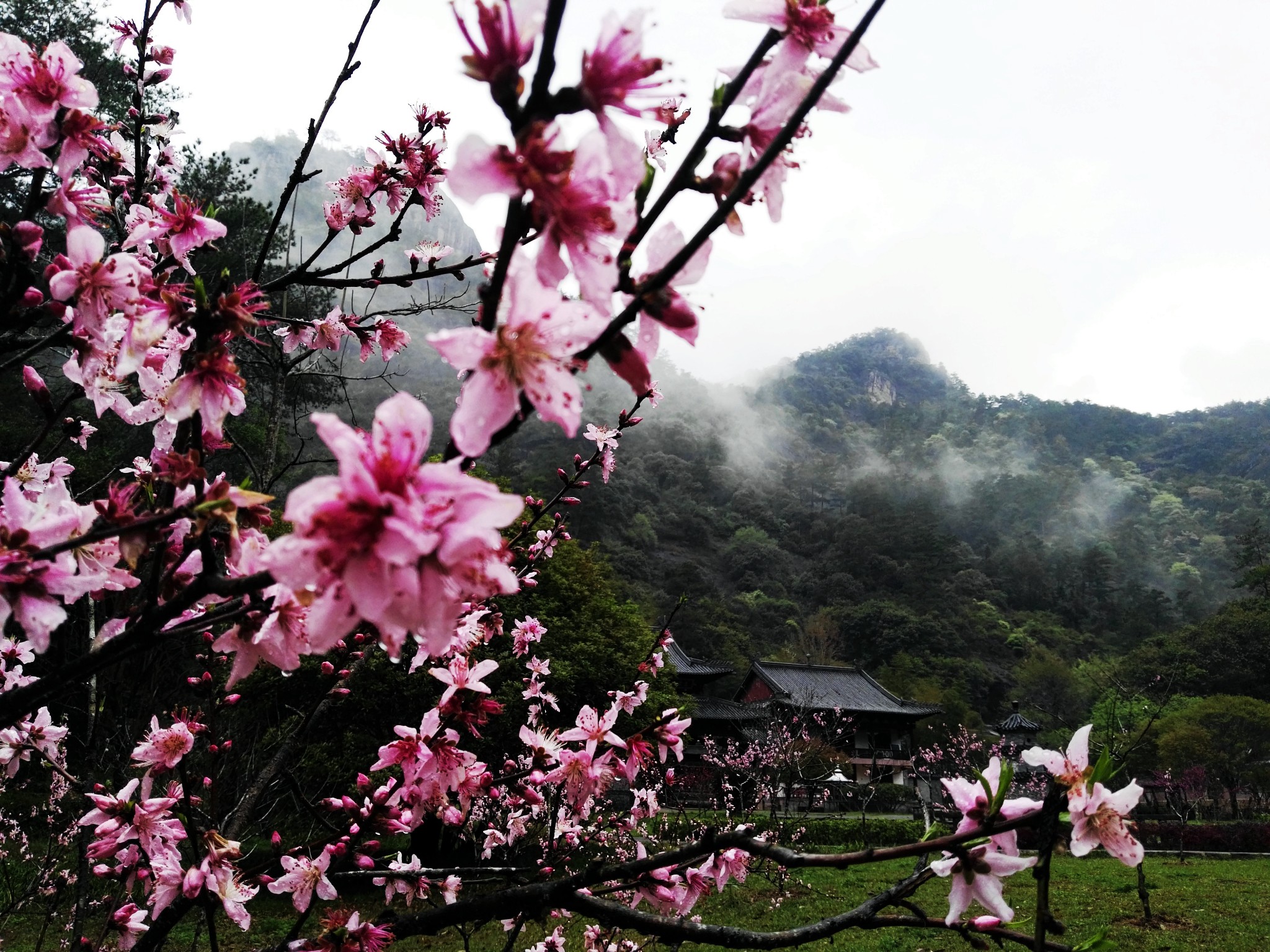 武夷山自助遊攻略